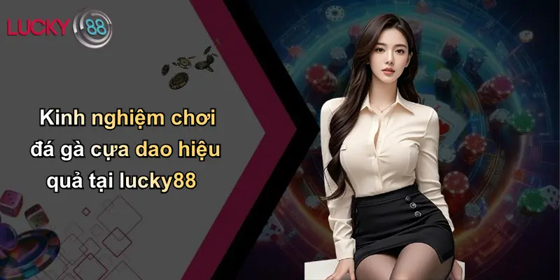 Đá Gà Cựa Dao: Nghệ Thuật Tinh Hoa Và Cách Chơi An Toàn Tại Lucky88 4 Kinh nghiệm chơi đá gà cựa dao hiệu quả tại lucky88