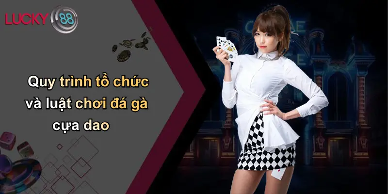 Đá Gà Cựa Dao: Nghệ Thuật Tinh Hoa Và Cách Chơi An Toàn Tại Lucky88 3 Quy trình tổ chức và luật chơi đá gà cựa dao