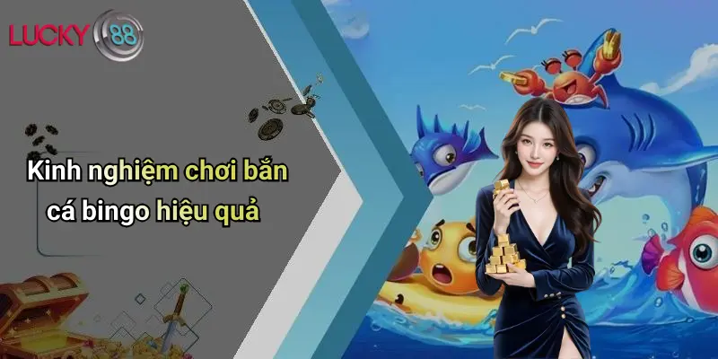 Kinh nghiệm chơi bắn cá bingo hiệu quả